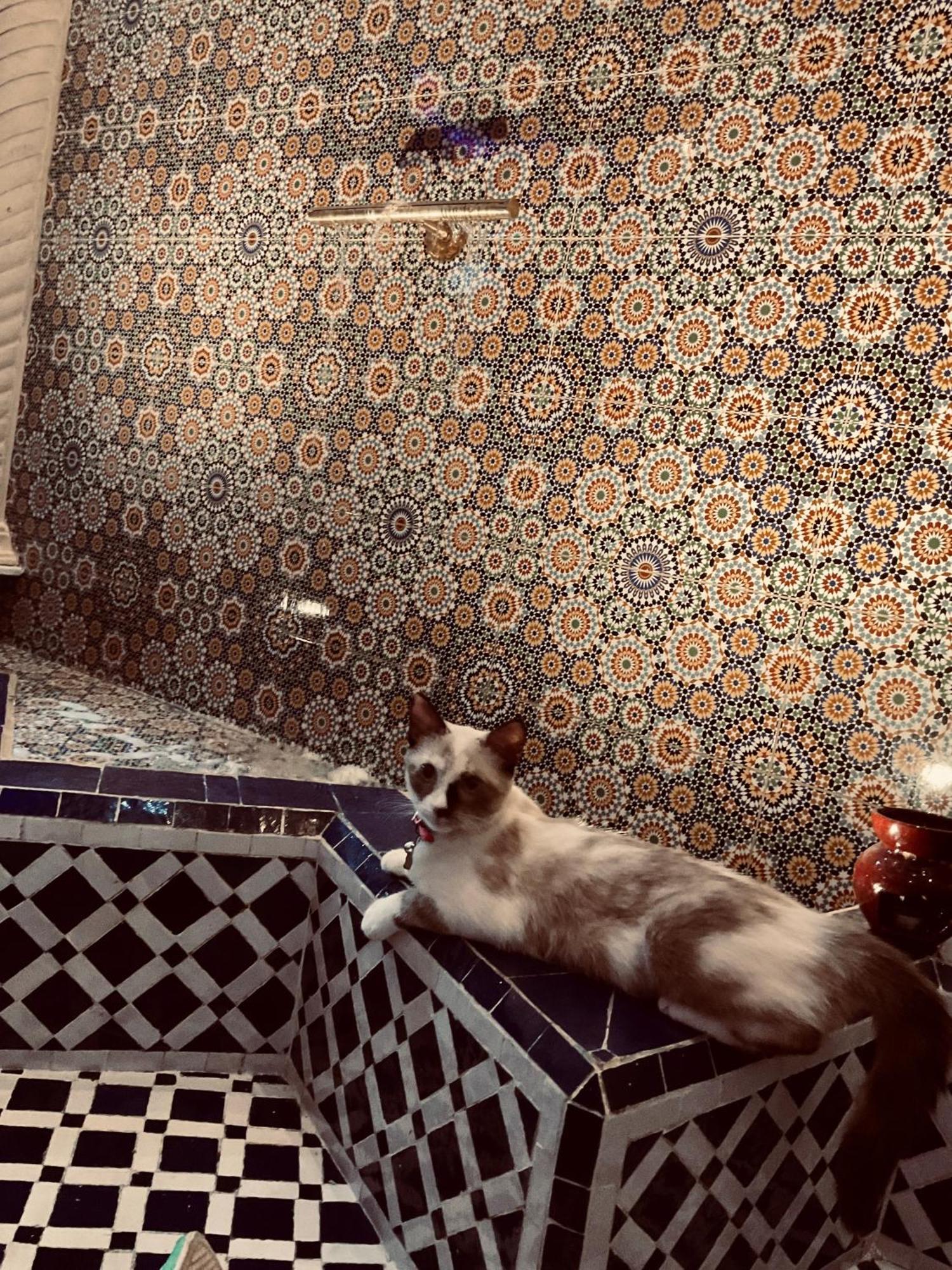 Riad Lalla Merieme 马拉喀什 外观 照片